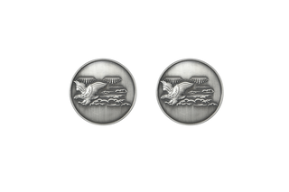 Eagle Biker Pins
